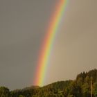 080811_20h07 Regenbogen, linker Pfeiler, Graureiher ''in gelb''_Detailfoto eingefügt