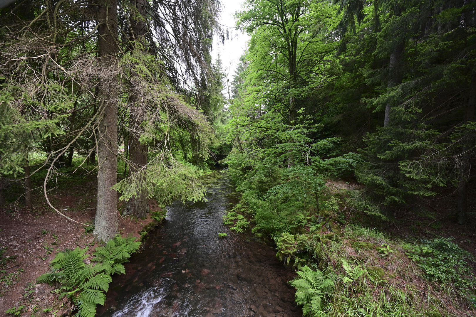 081 Blick über den Silbergraben (unbearbeitet)