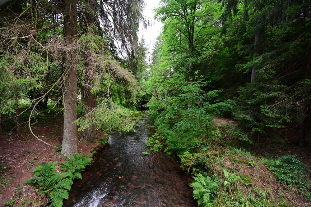 081 Blick über den Silbergraben (unbearbeitet)