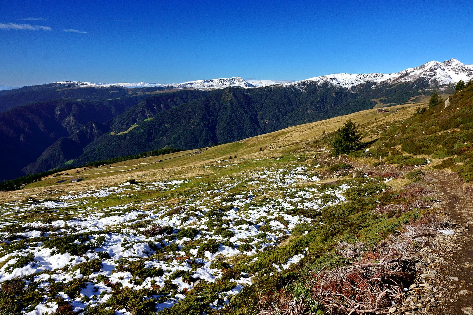 08.10.2020 die Neuschneegrenze ist erreicht