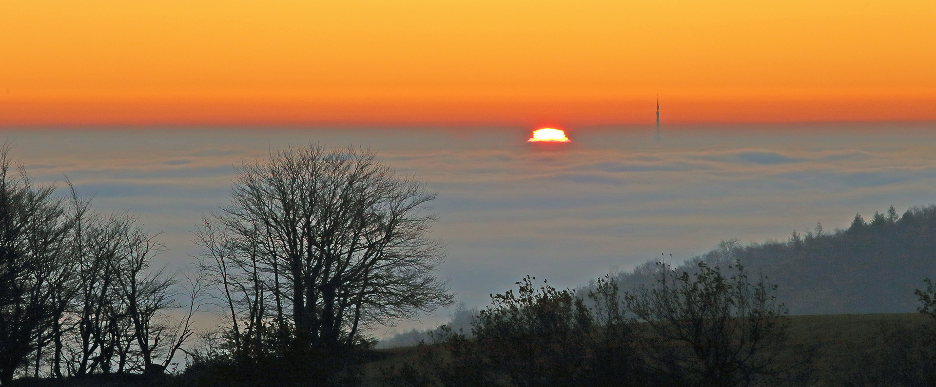 08.11. 2020 einen Tag später noch kompakterer Nebel...