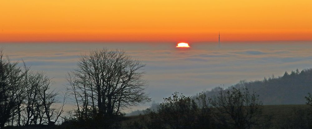 08.11. 2020 einen Tag später noch kompakterer Nebel...