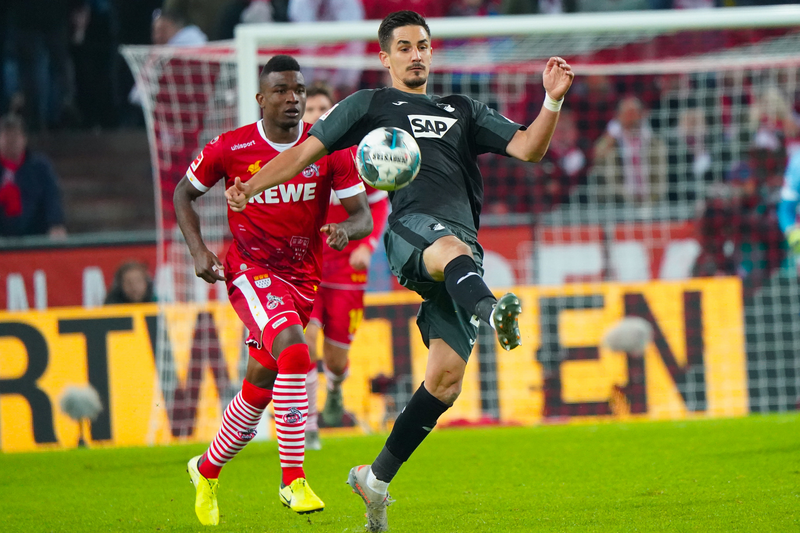 08.11.2019, RheinEnergieStadion, Köln, GER, 1. FBL, 1.FC Köln vs. TSG 1899 Hoffenheim,