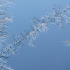 0819T Eisblumen am Fenster