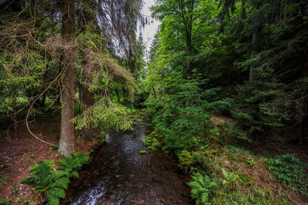 082 Blick über den Silbergraben (bearbeitet)