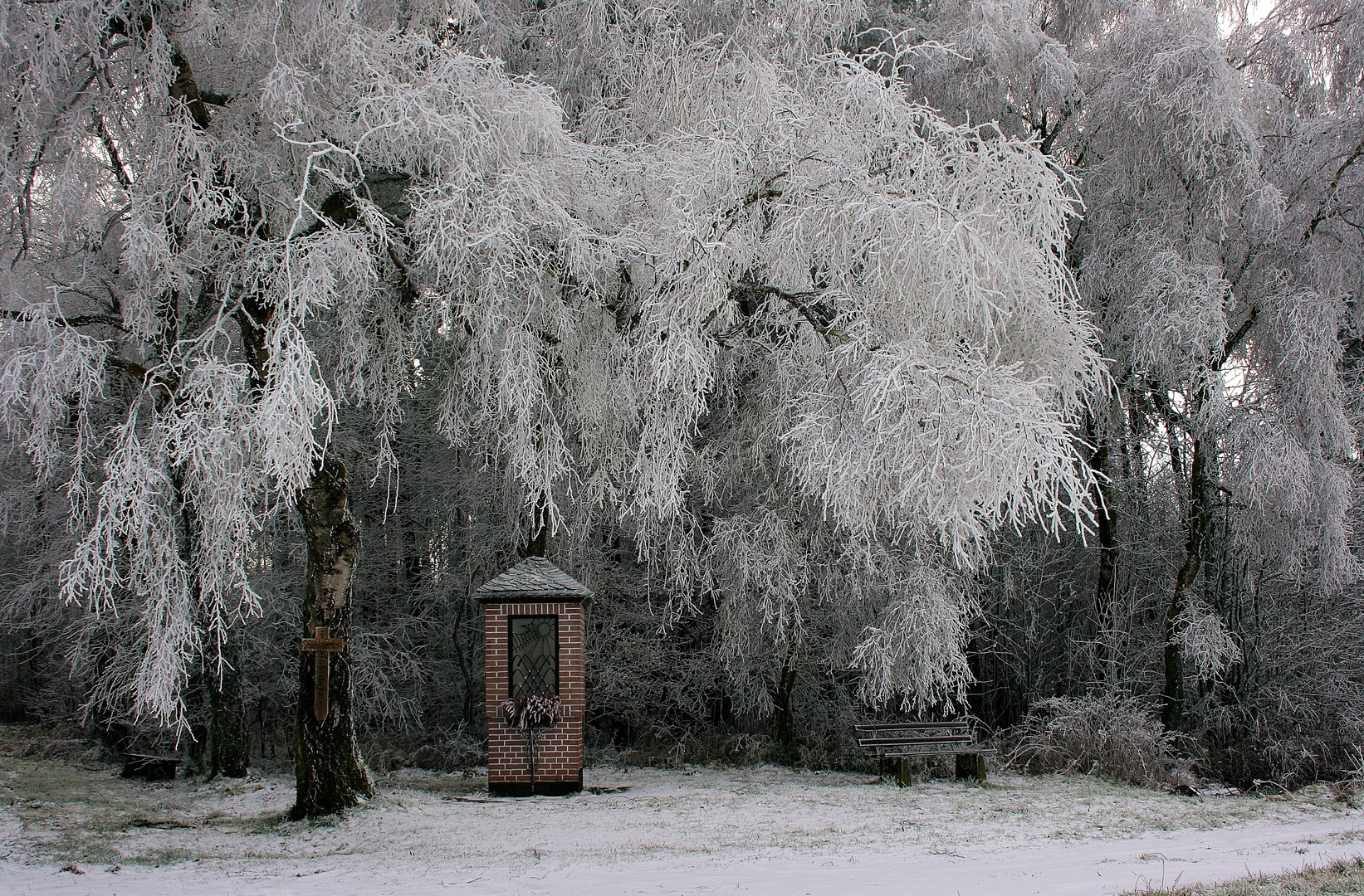 08231 Vaeterchen Frost in Hochform