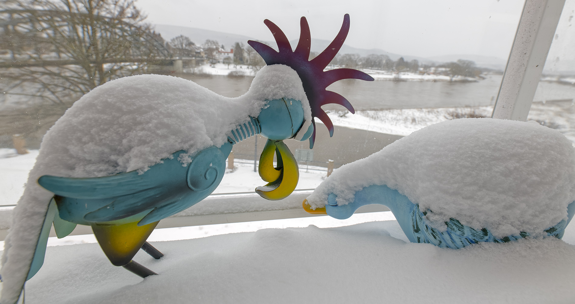 0835T Balkonvögel im Winter