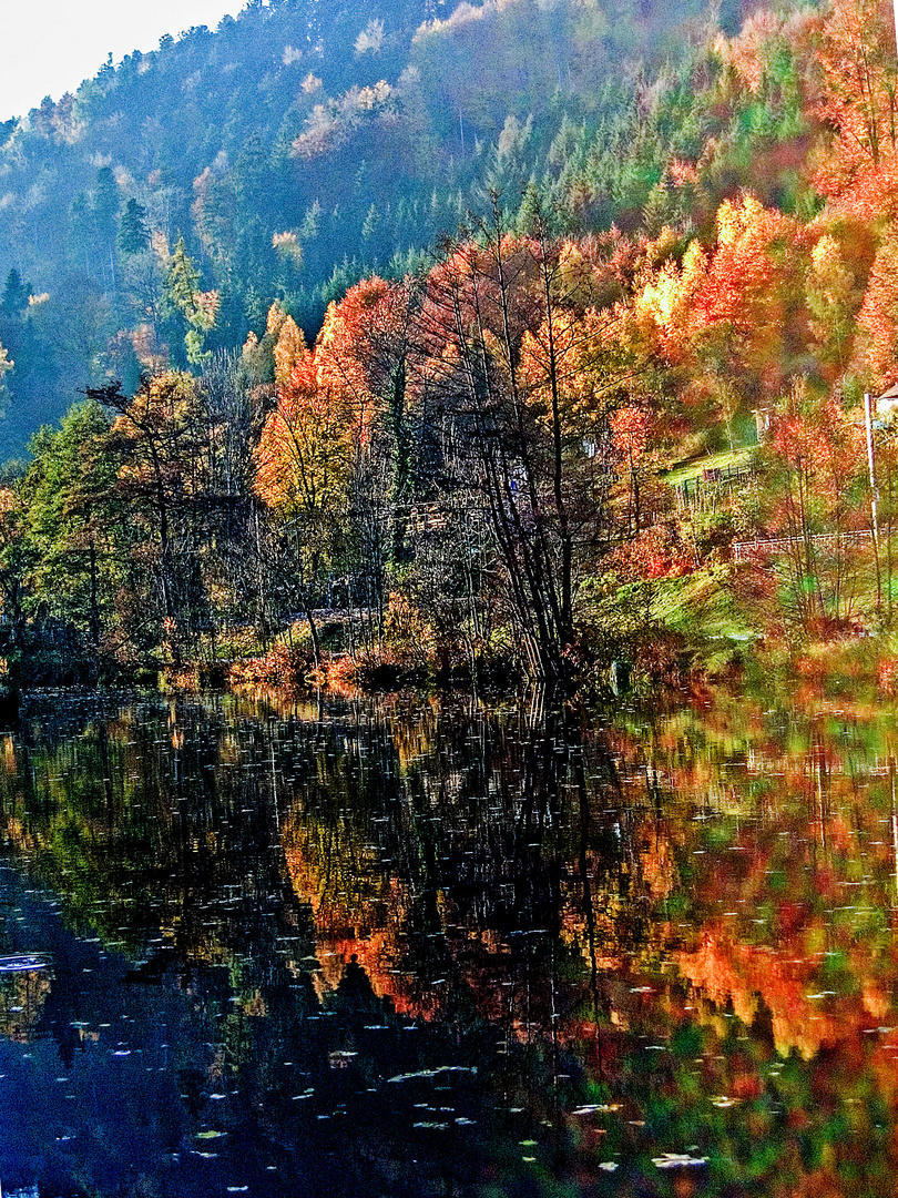 0838 Herbst am Wasser 