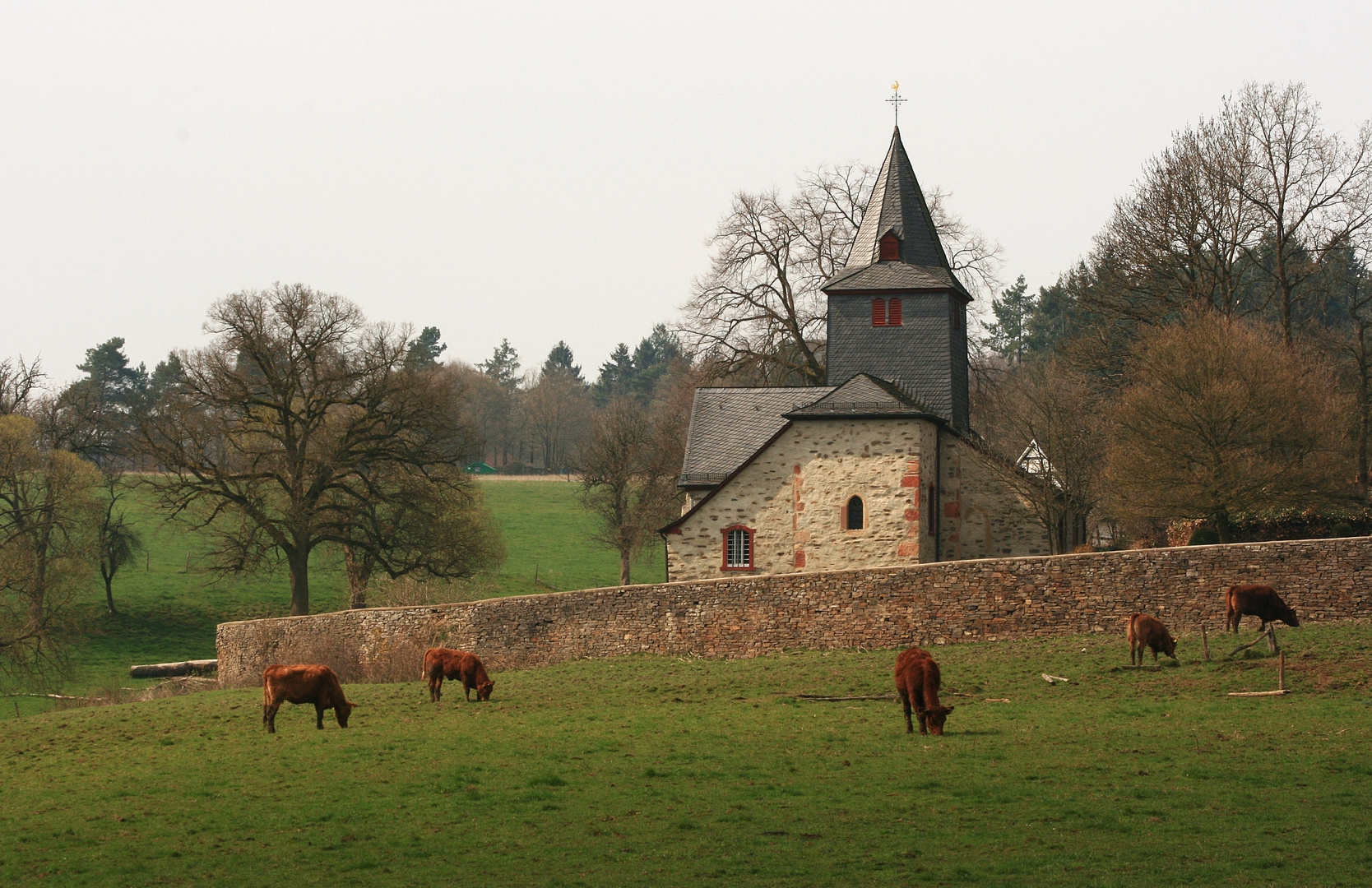 08474 ländliche Idylle