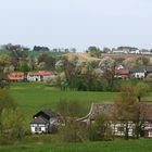 08529 Frühling im Heuveland