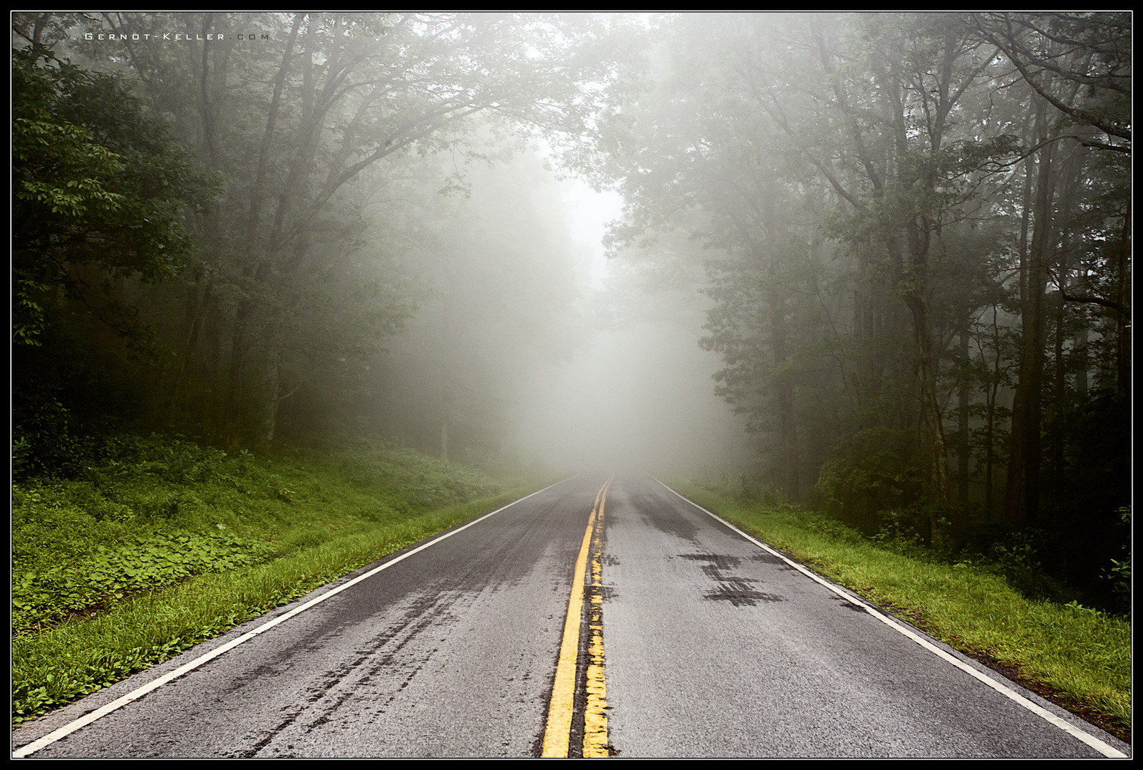 08572 - Blue Ridge Parkway - Watch, what may come out of the fog