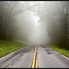 08572 - Blue Ridge Parkway - Watch, what may come out of the fog