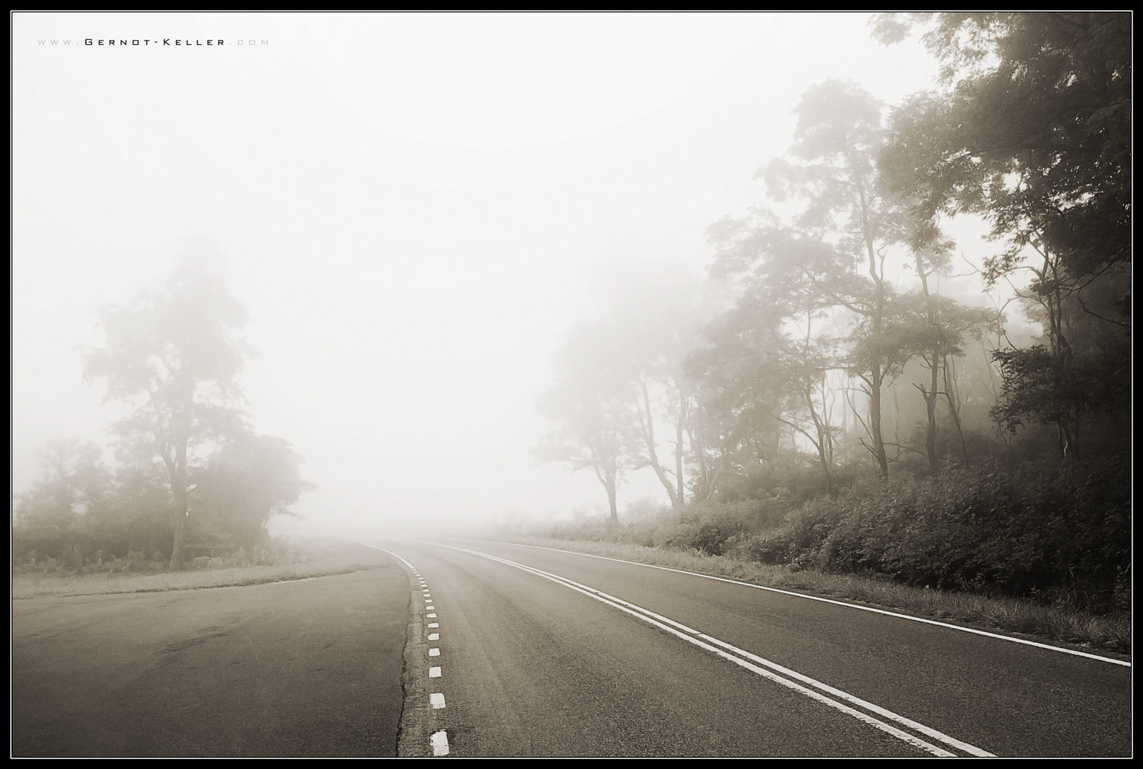 08576 - Blue Ridge Parkway, Virginia