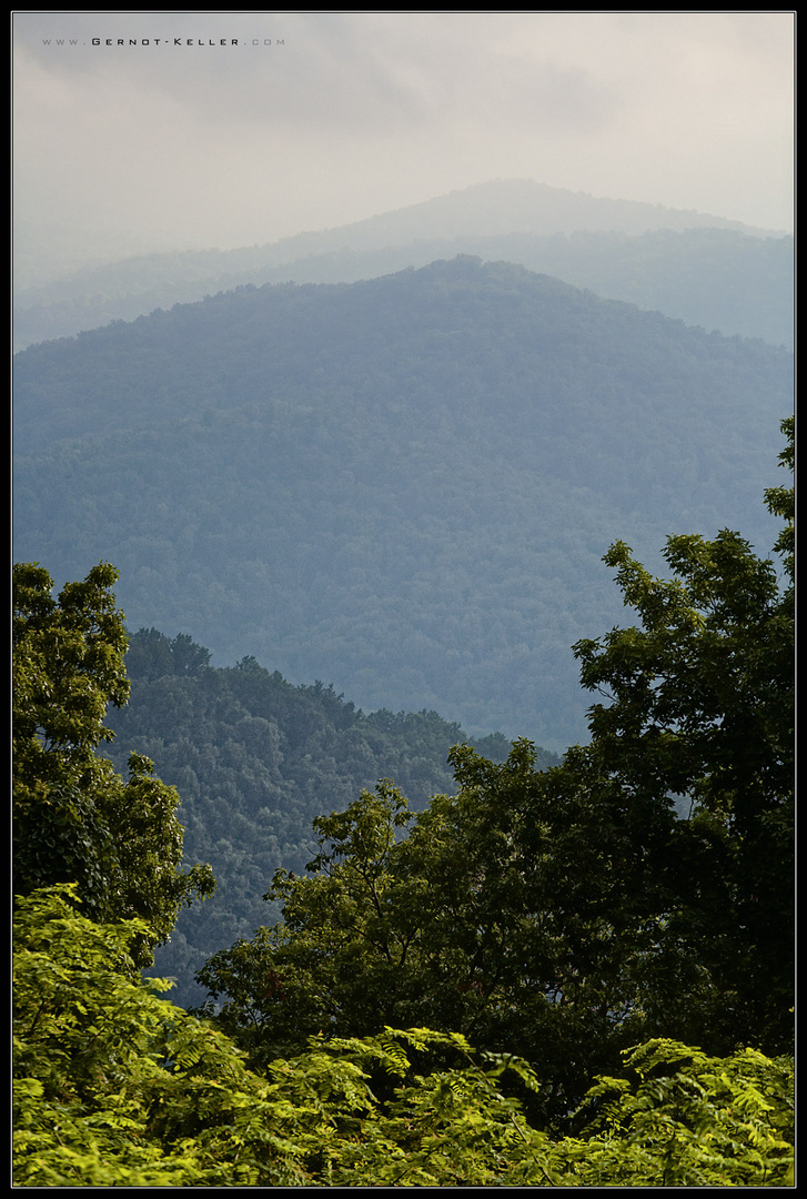 08608 - Shenandoah