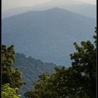 08608 - Shenandoah