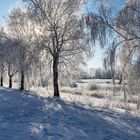 0865TZ Birkenallee Rauhreif Winter an der Weser Rinteln