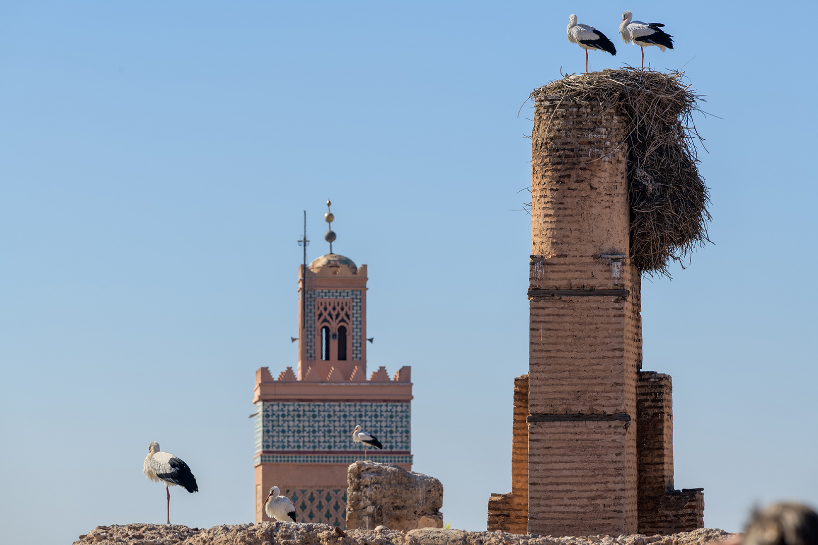 0873R Marrakesch Palais El Badi Moschee Schornstein Störche Nest Marokko