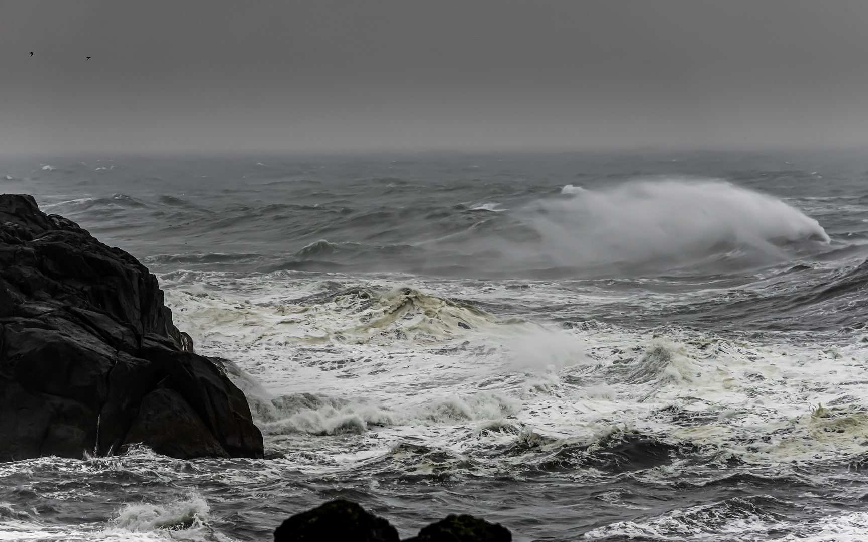 0876 Der Wind....der Wind....