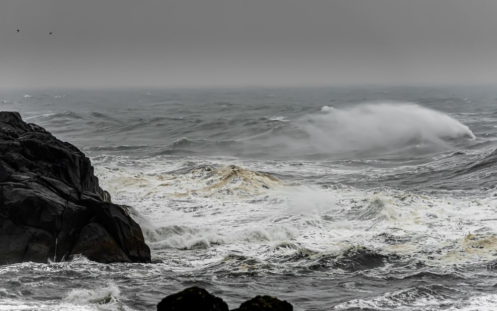 0876 Der Wind....der Wind....