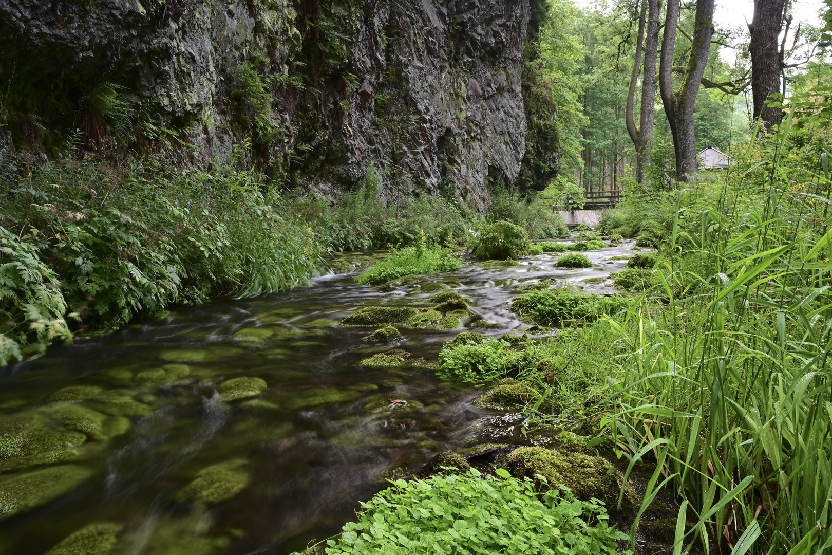 089 Am Silbergraben (unbearbeitet)