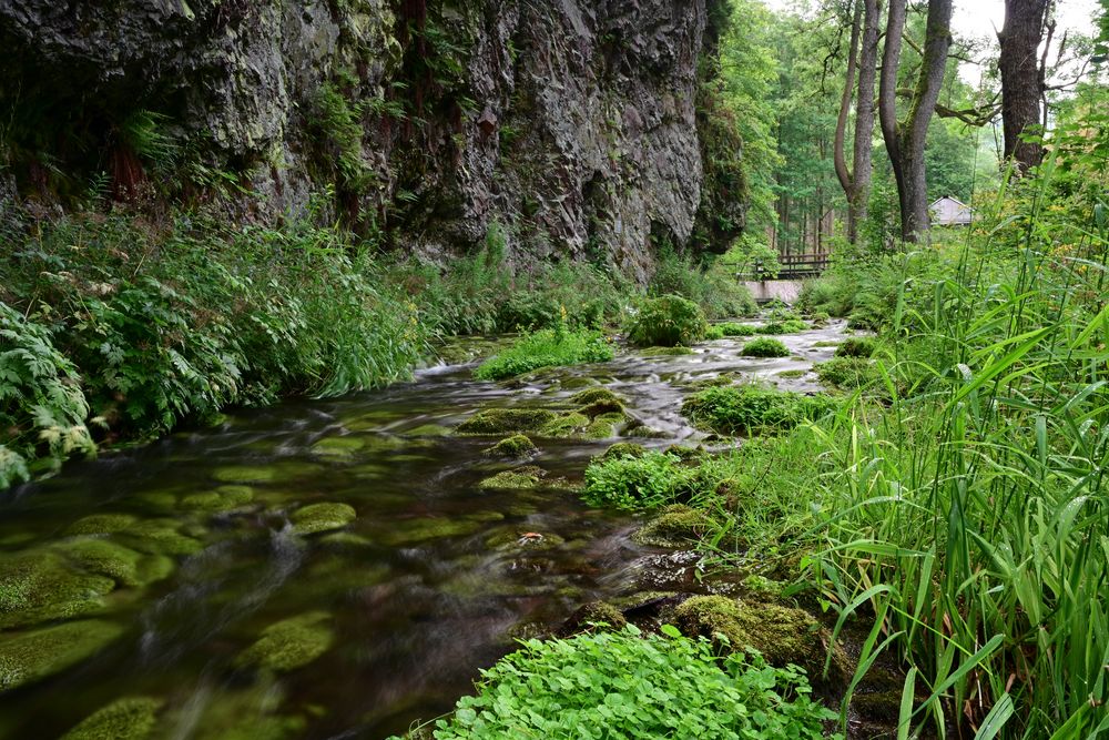 089 Am Silbergraben (unbearbeitet)