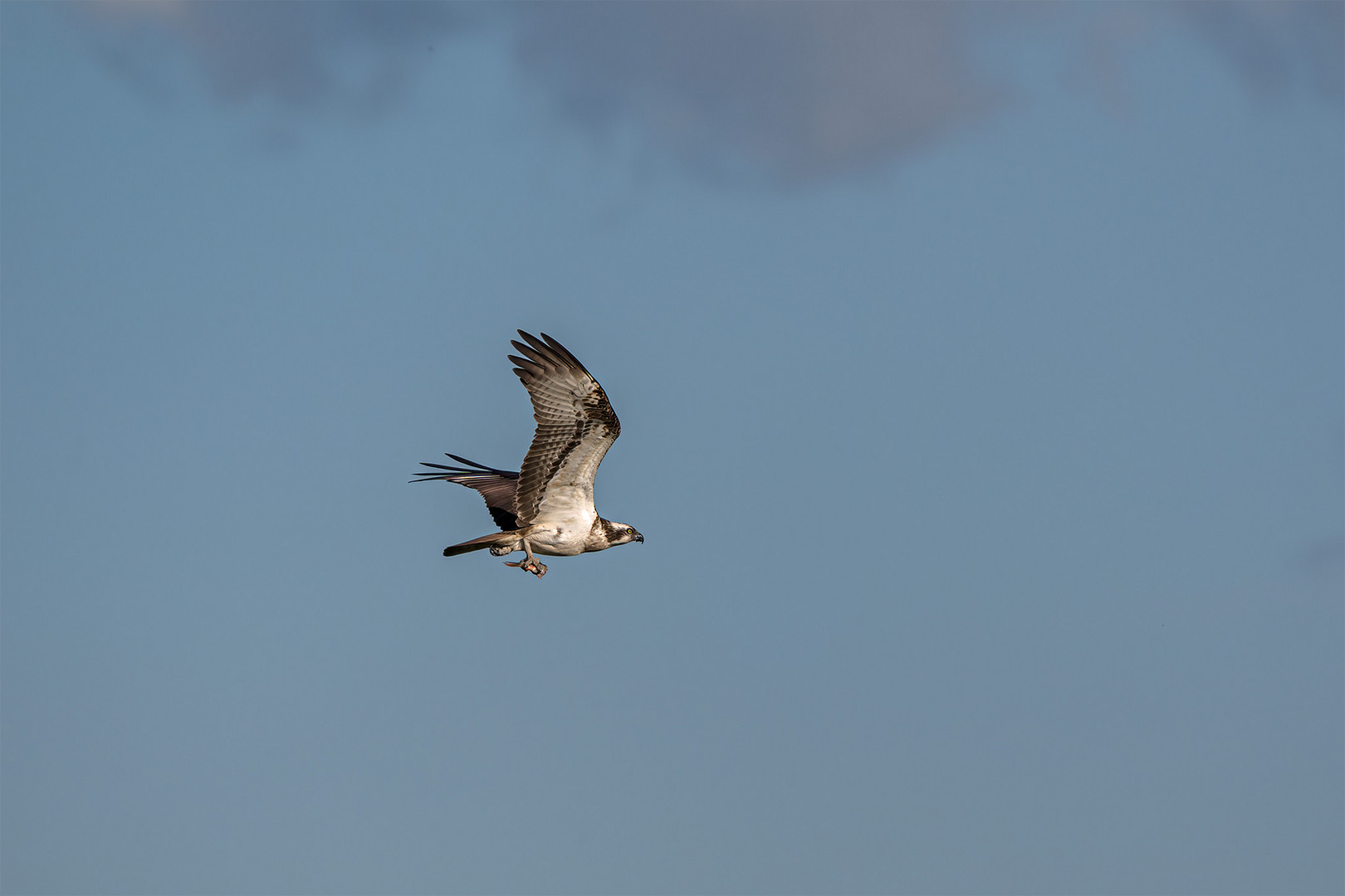 089_Winzlar / Steinhuder Meer