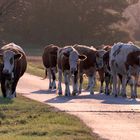 08a-Begegnung auf Radweg