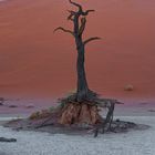 08_Dead Vlei