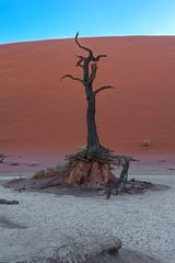 08_Dead Vlei