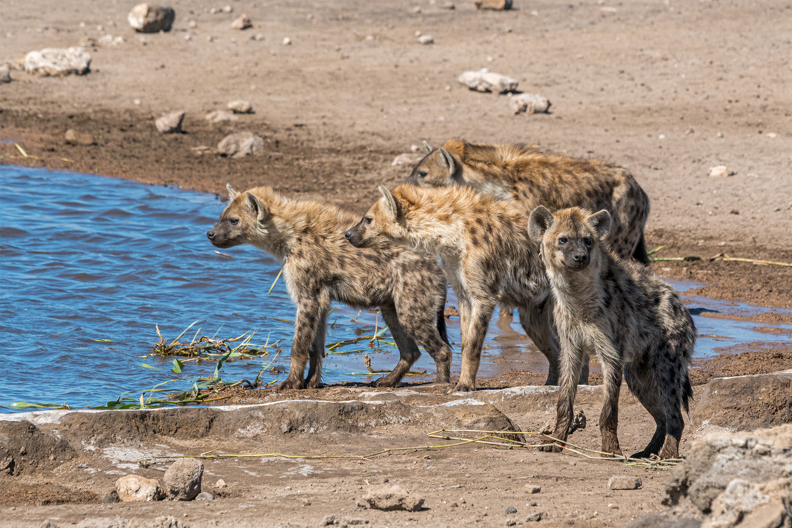 08_Erinnerung an Namibia April 2017