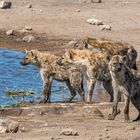 08_Erinnerung an Namibia April 2017