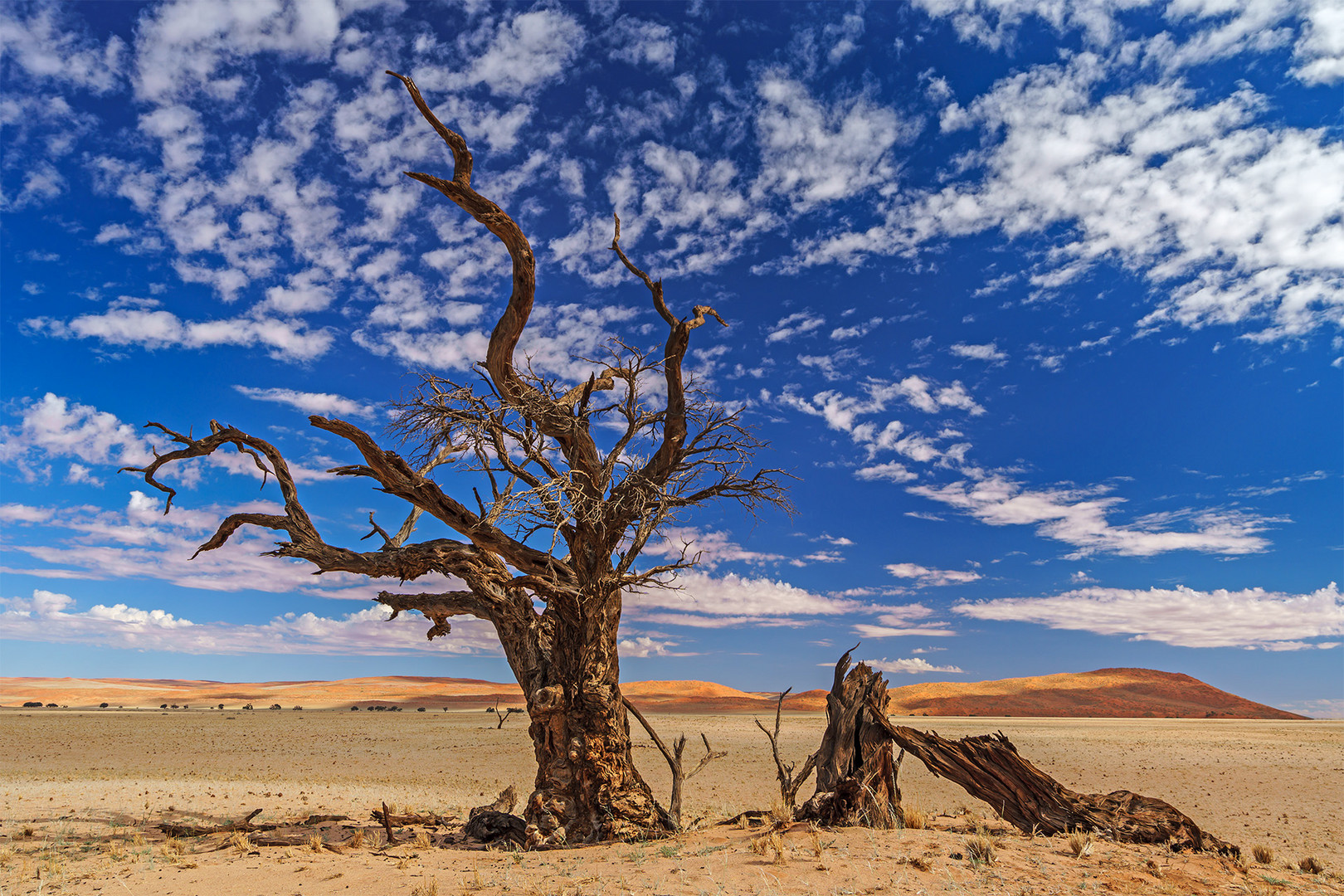 09. Namibia Wildlife Resorts Sesriem