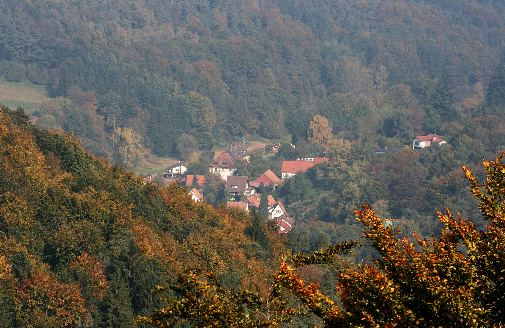 09001 Herbst im Pfälzerwald