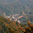 09001 Herbst im Pfälzerwald