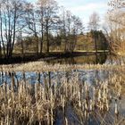 09.03. Frühjahrserwachen am Lernschwimmteich