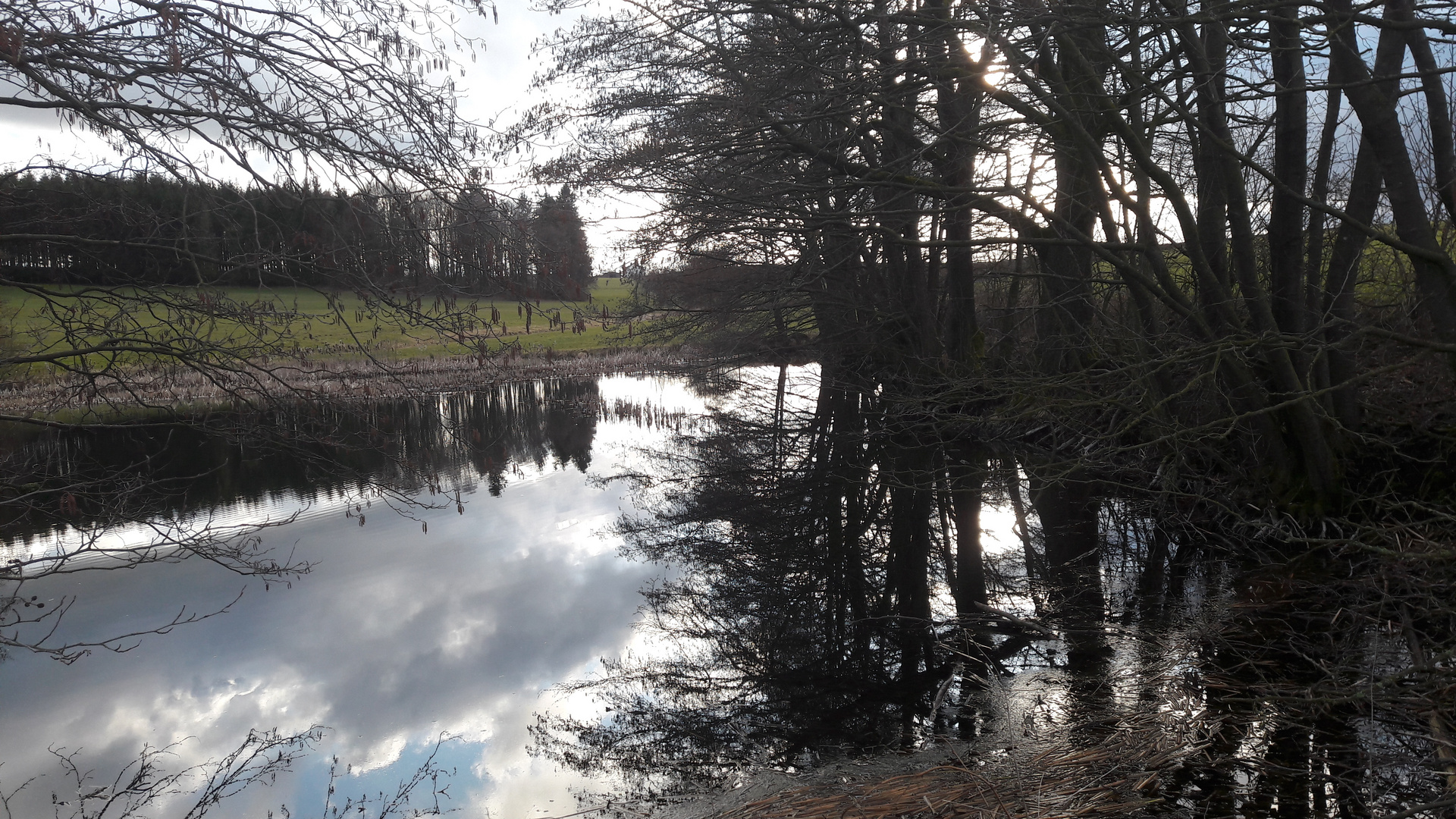  09.03.2020 Spiegeltag am Lernschwimmteich