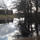  09.03.2020 Spiegeltag am Lernschwimmteich