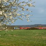 09.04.18 Der Frühling ist endlich da!