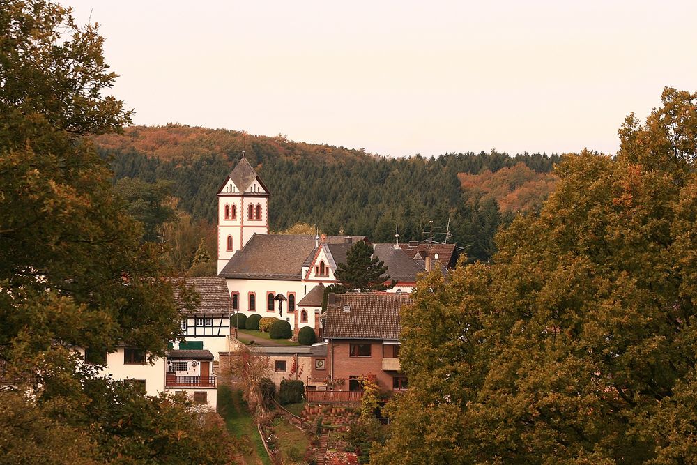 09060 Herbst über Bouderath