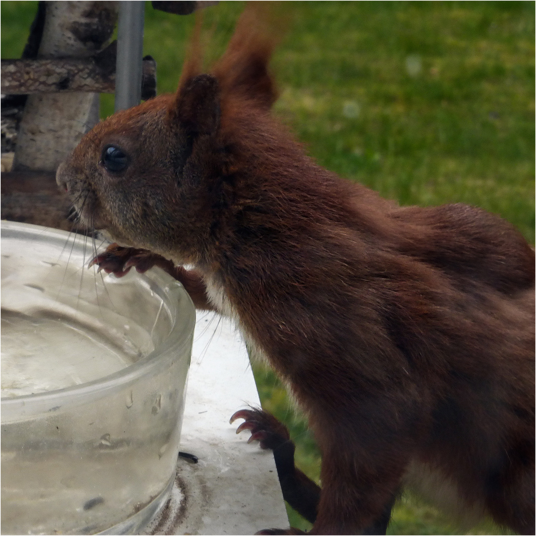 091 / 2019 - Besuch