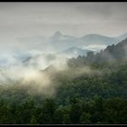 09253 - Fog along the Blue Ridge Parkway