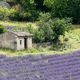 Couleurs de la Provence