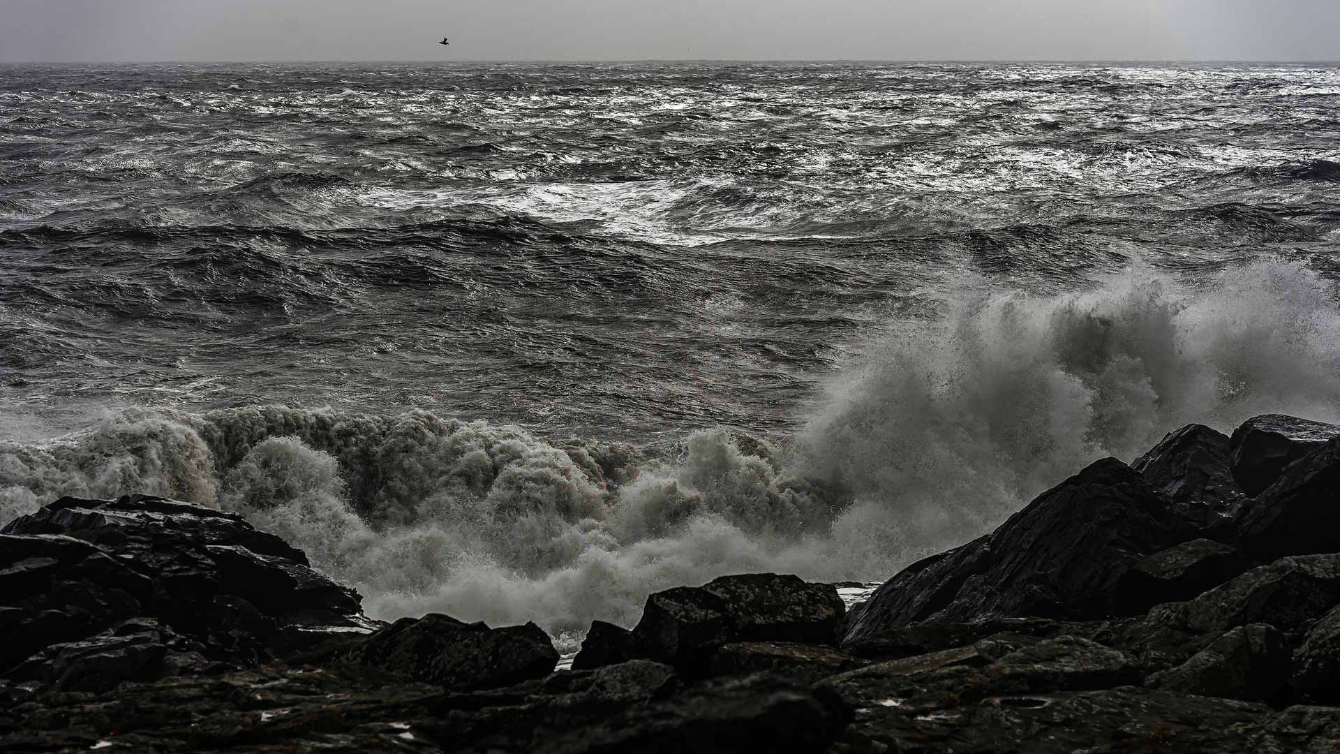 0938 Lónsvík-End