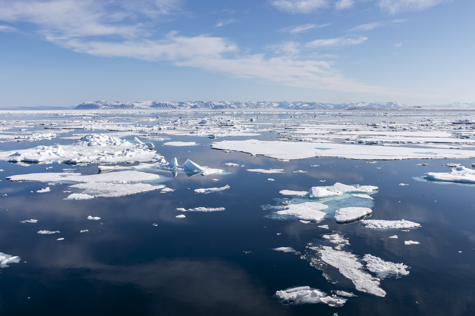 094-20230626 - Spitzbergen-Im arktischen Packeis - _U8A5307