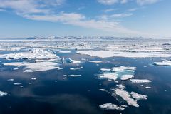 094-20230626 - Spitzbergen-Im arktischen Packeis - _U8A5307