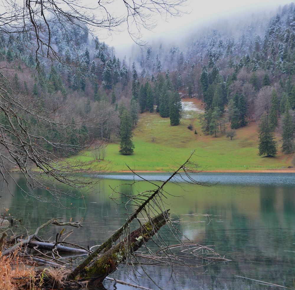 Eisig von Bernd Viertel