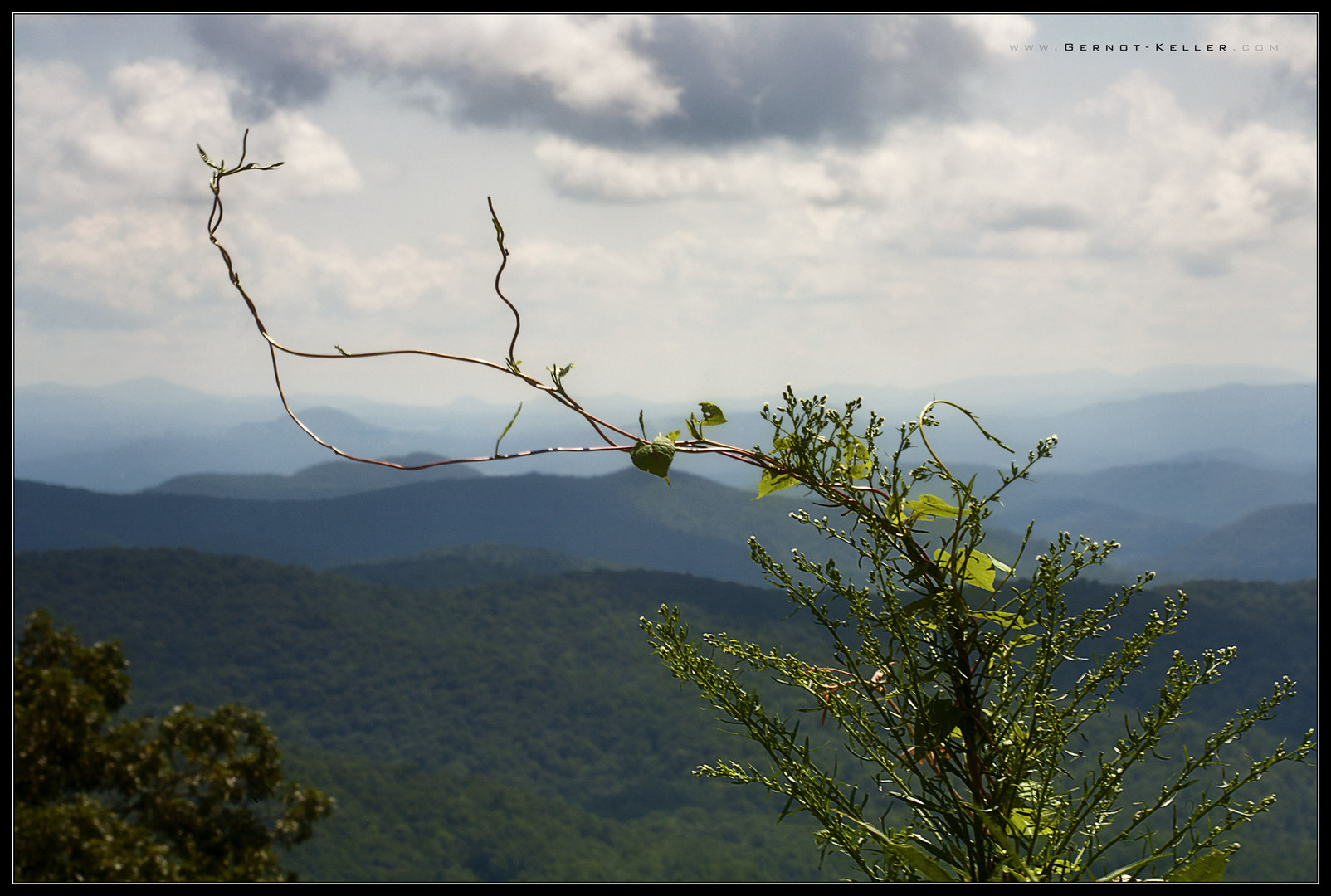 09856 - Blue Ridge Parkway