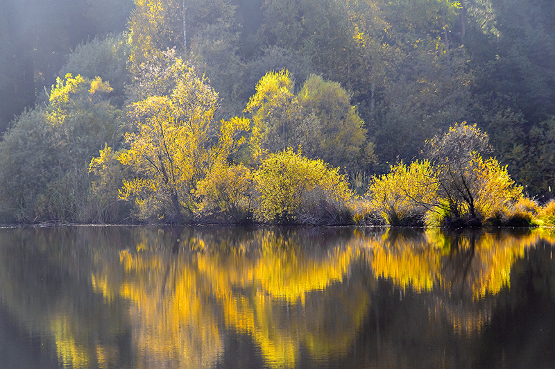 09979 Konstanz-Dettingen, Dingelsdorfer Ried im Herbst