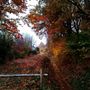 Cycling in the Netherlands  by josesateixeira