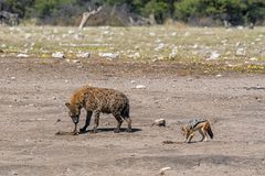 09_Erinnerung an Namibia April 2017